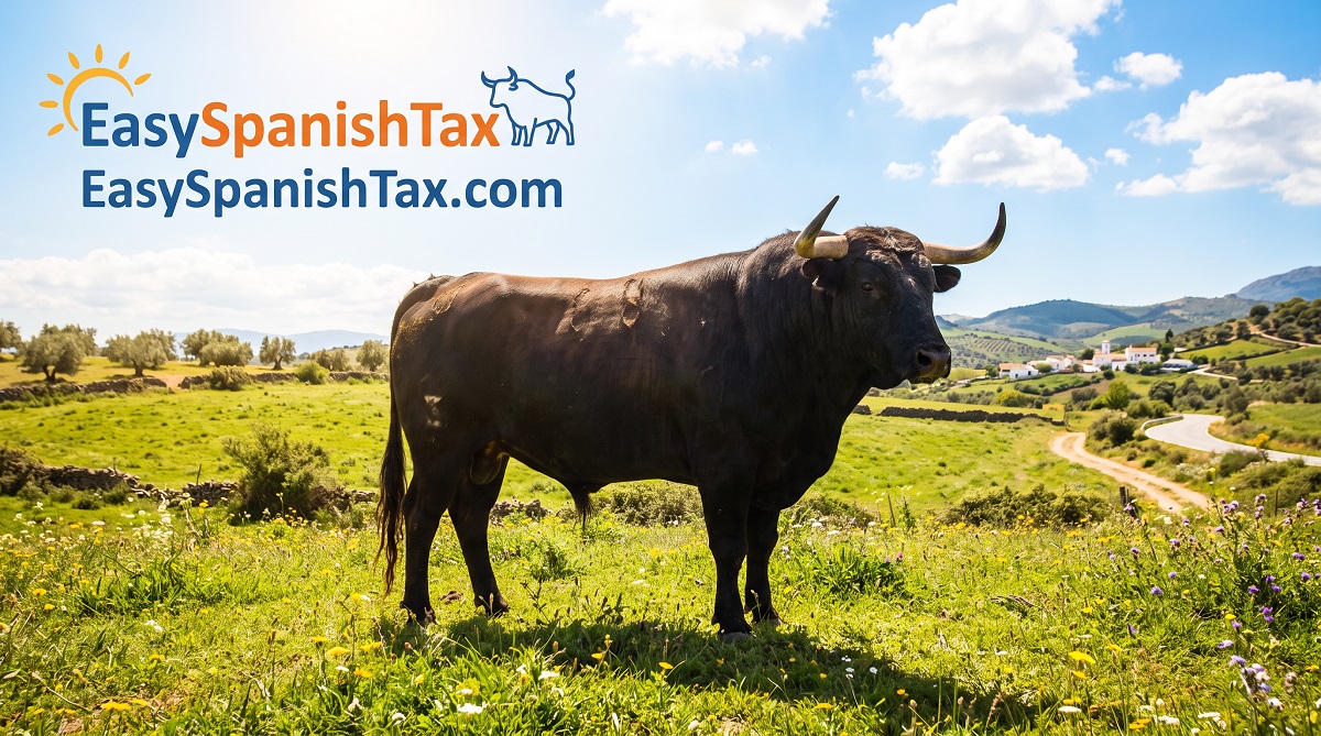 DIY vs Accountant: Filing Spanish Property Tax Compared